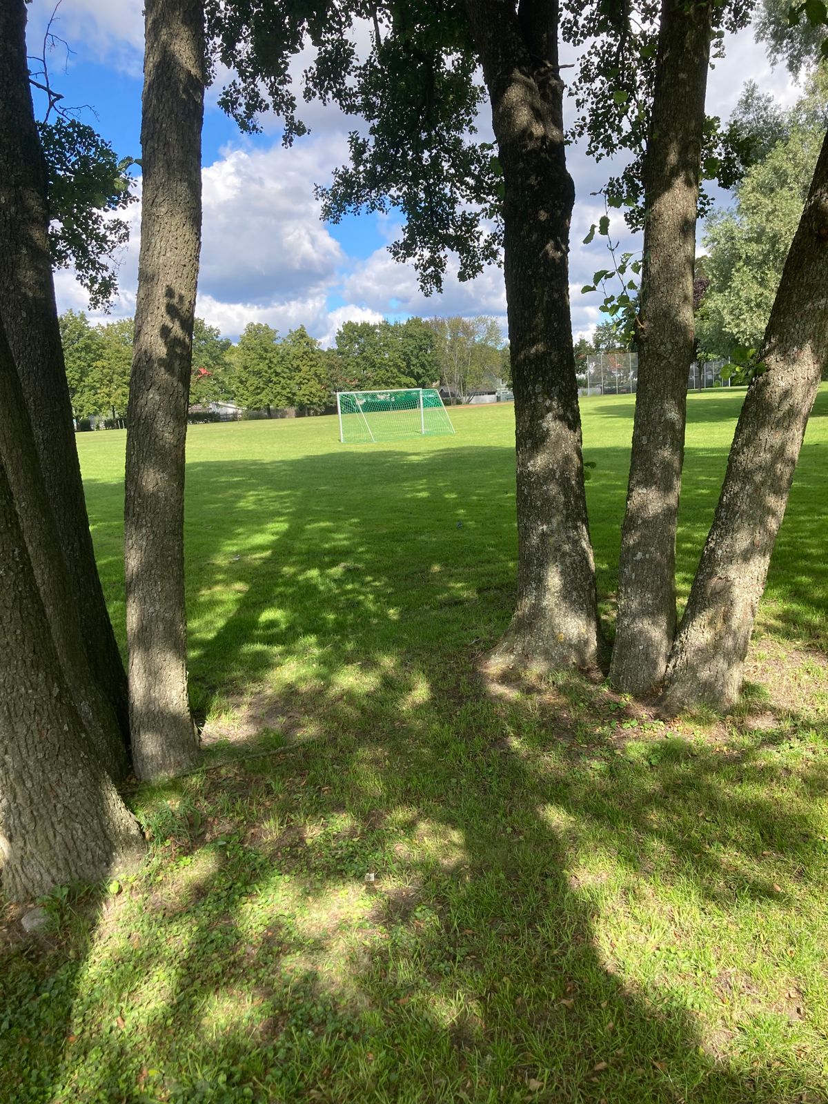 Tee 6