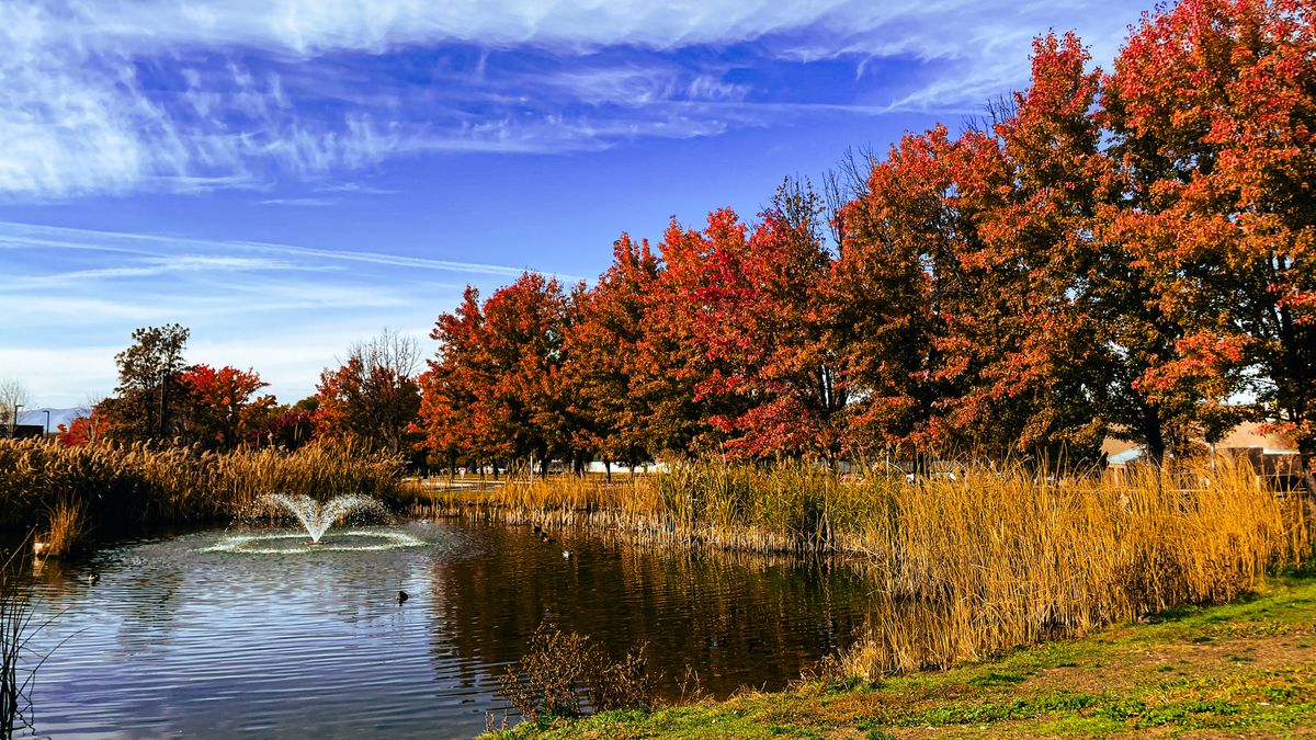 View of the Pond and trees at Hole 1