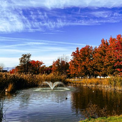 View of the Pond and trees at Hole 1