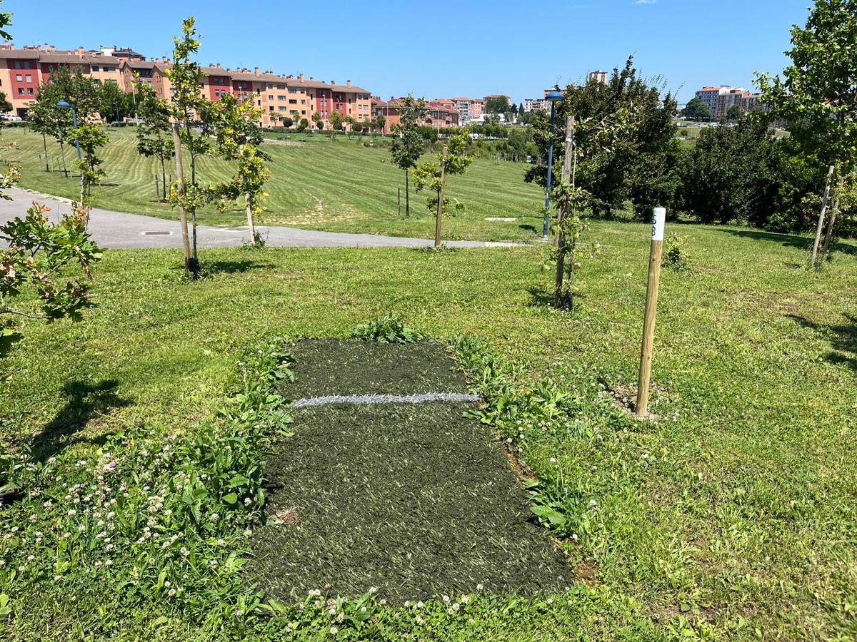 6B