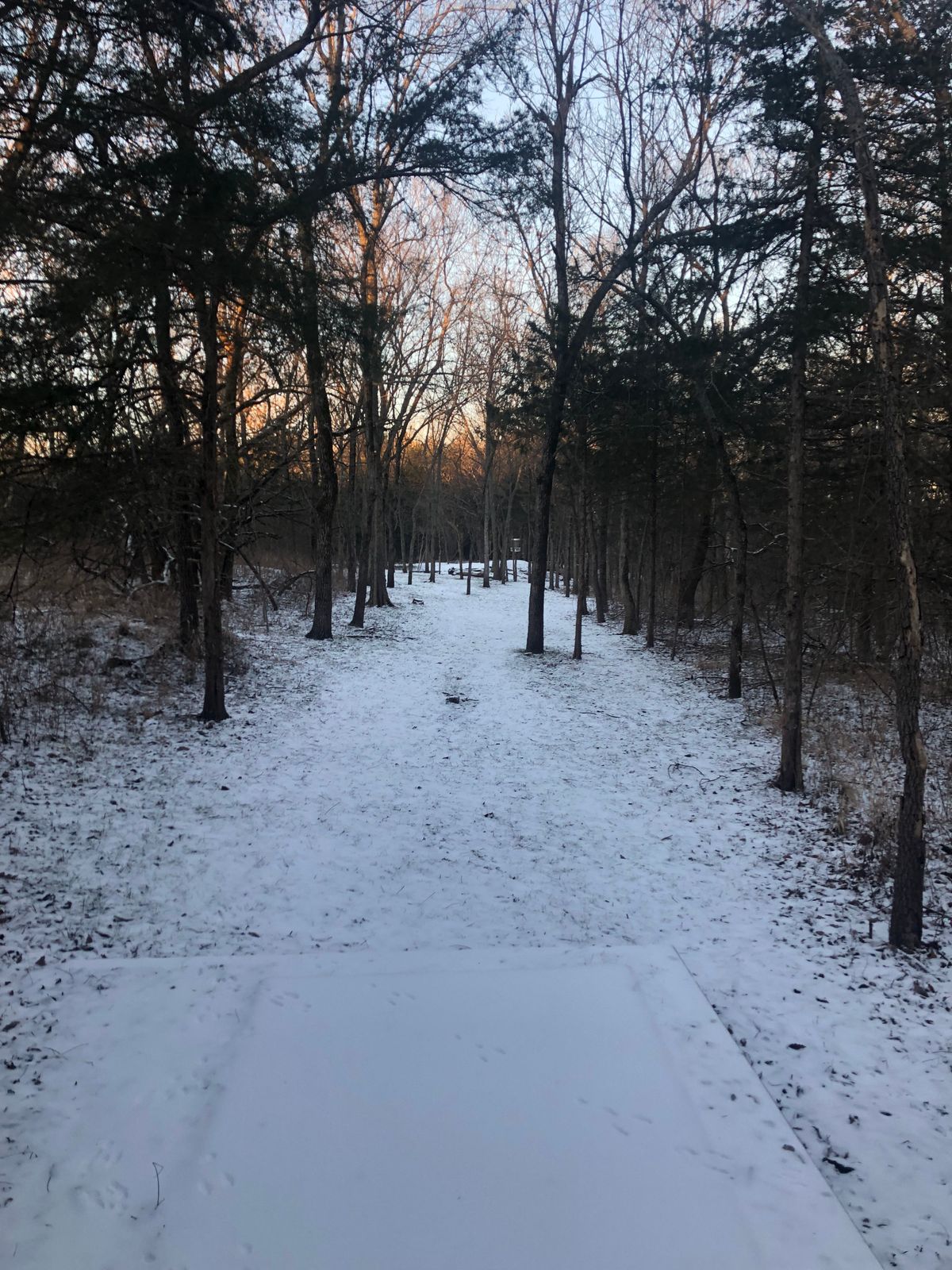 Hole 5, January 2022