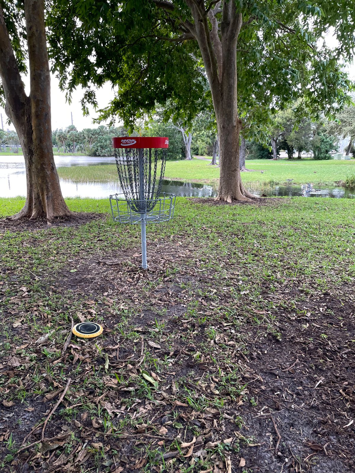 Hole 7 Basket