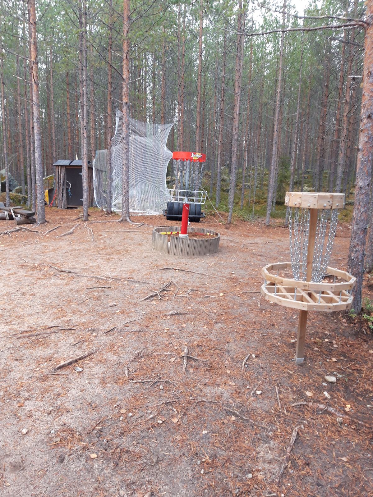 Puttikorit ja draiviverkko