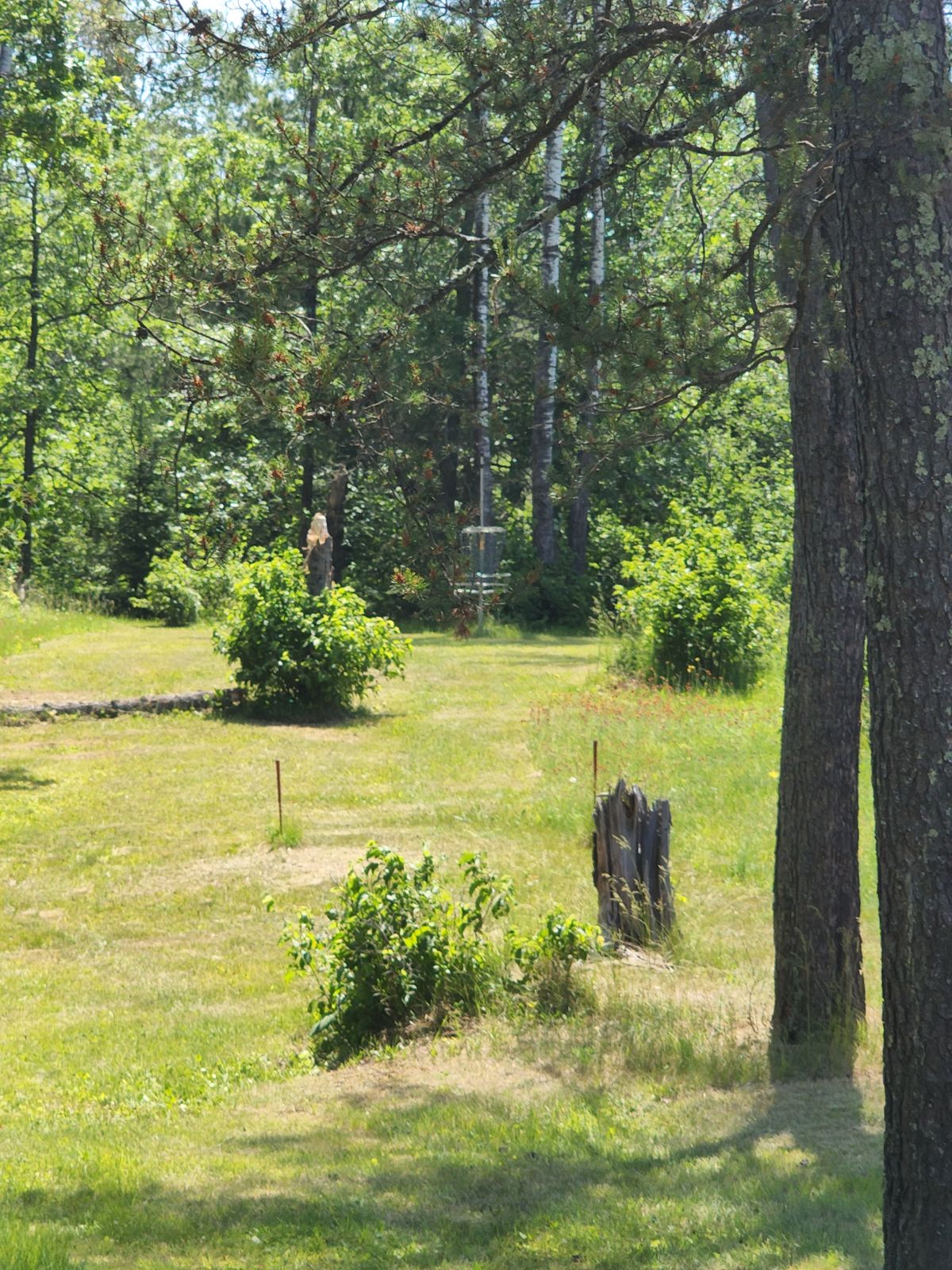 Hole 7 Close-Up