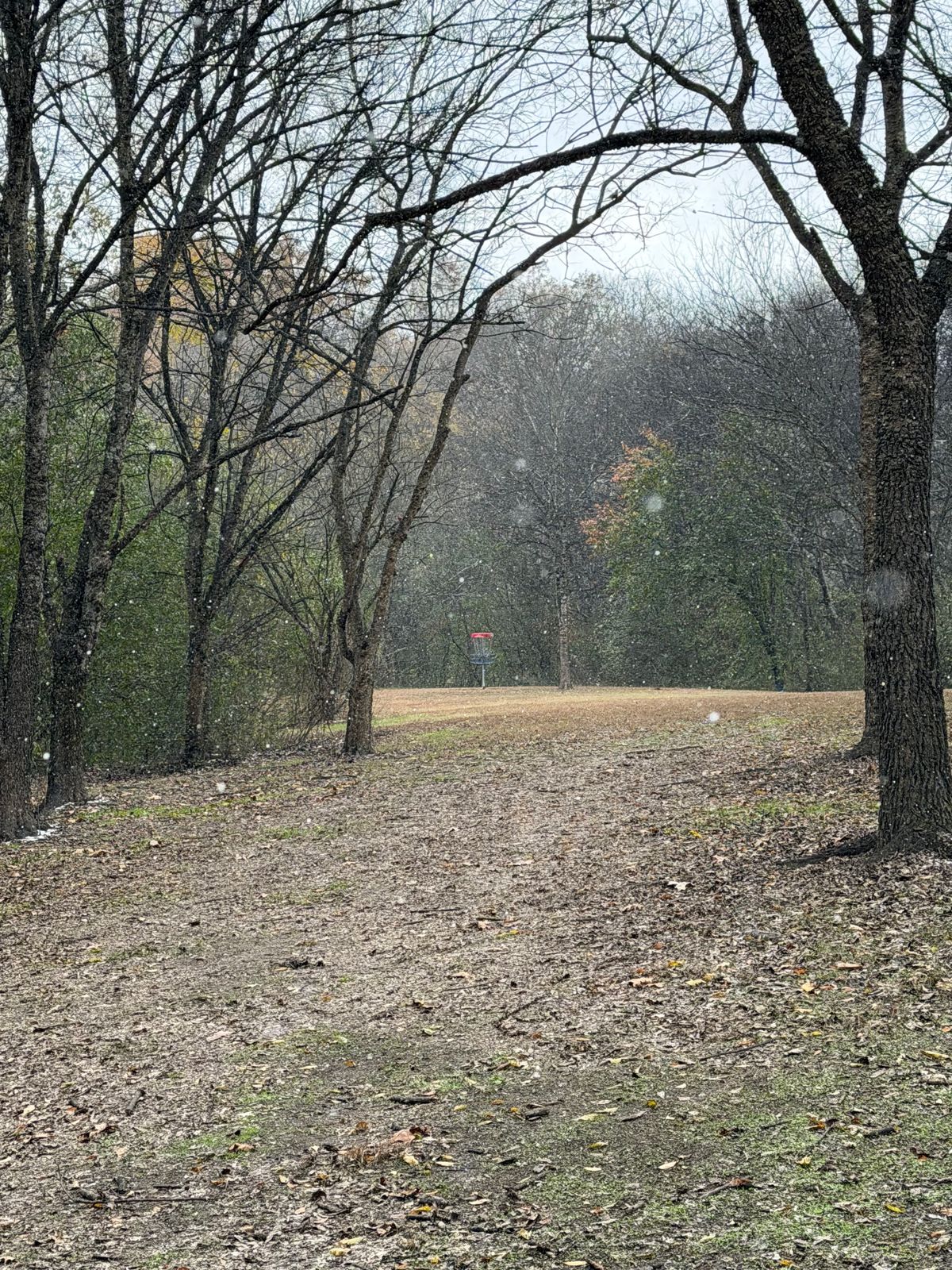 Hole 15