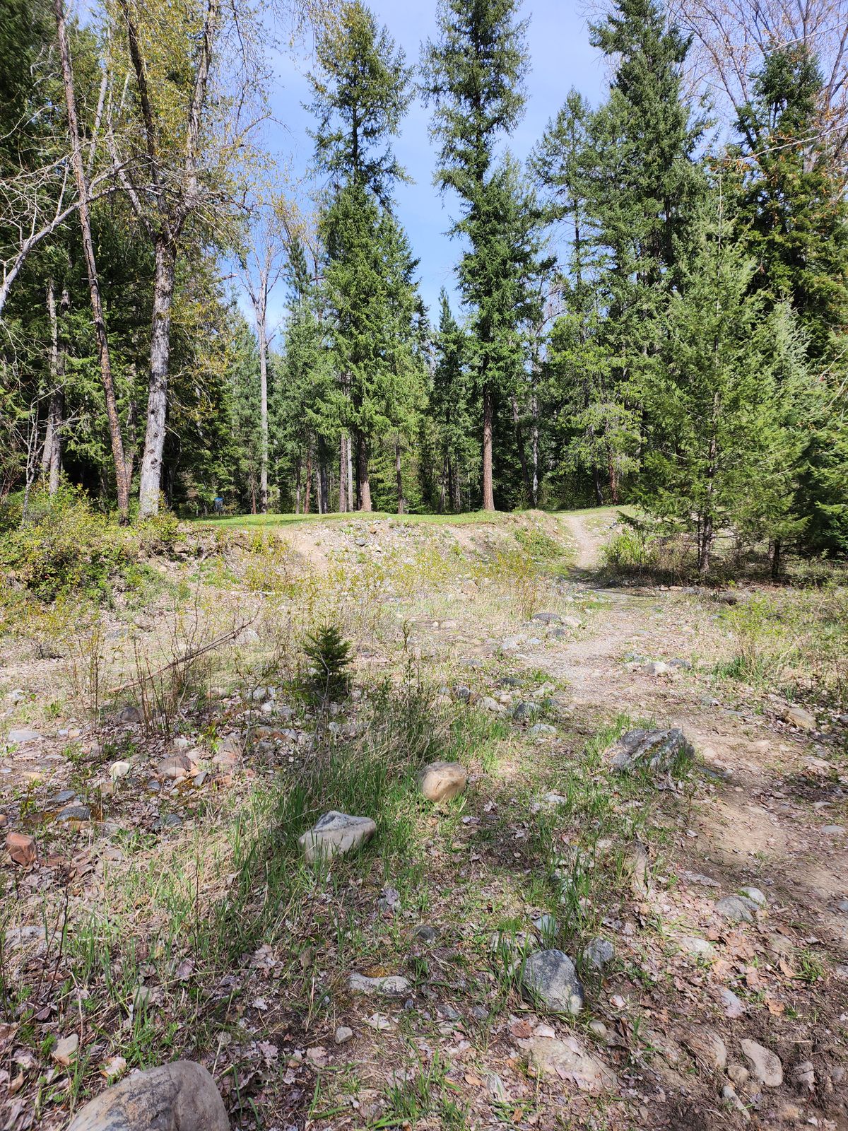Hole 2