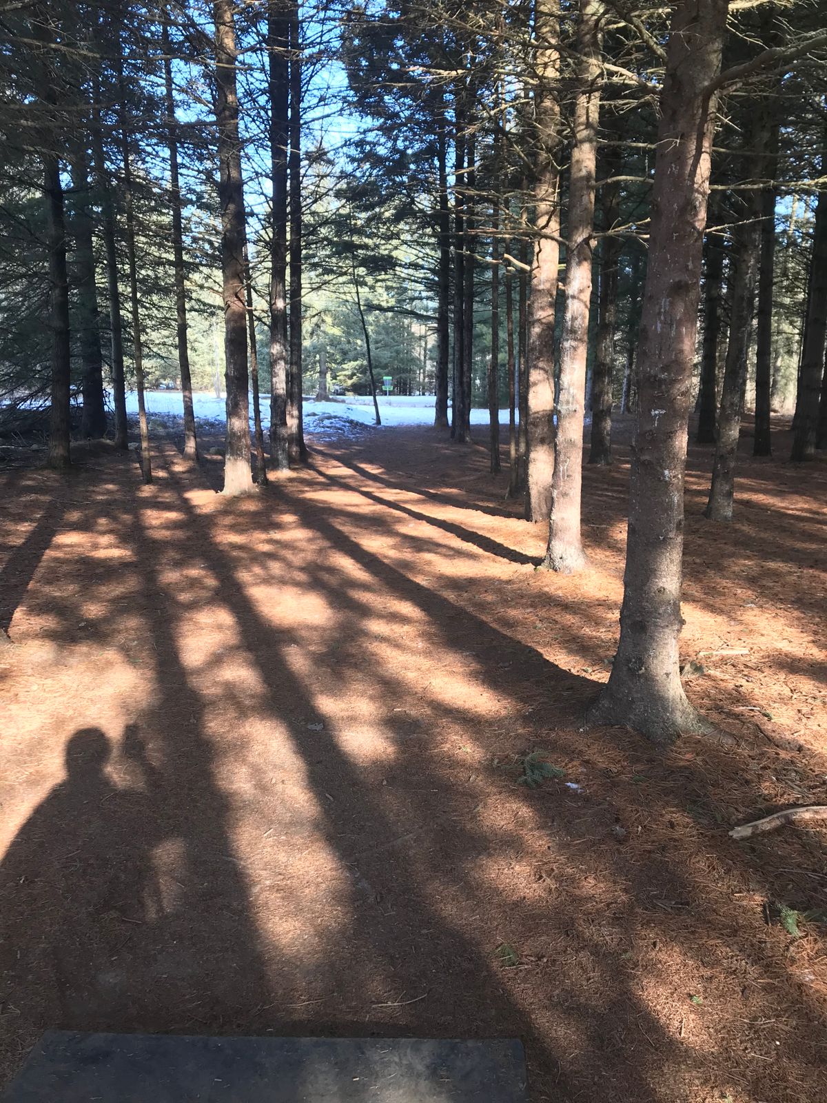 Hole 5 tee