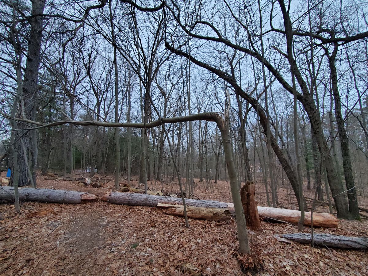 Between hole 4 and 5