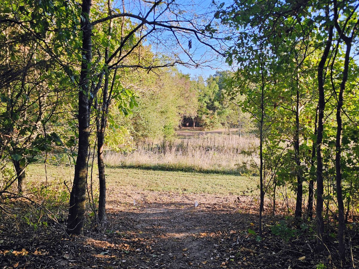 Hole 10