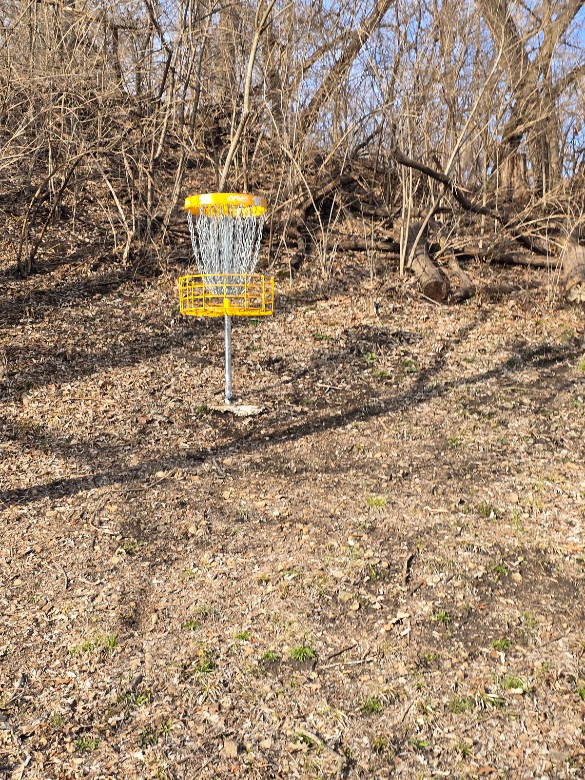 Basket 16 B location 