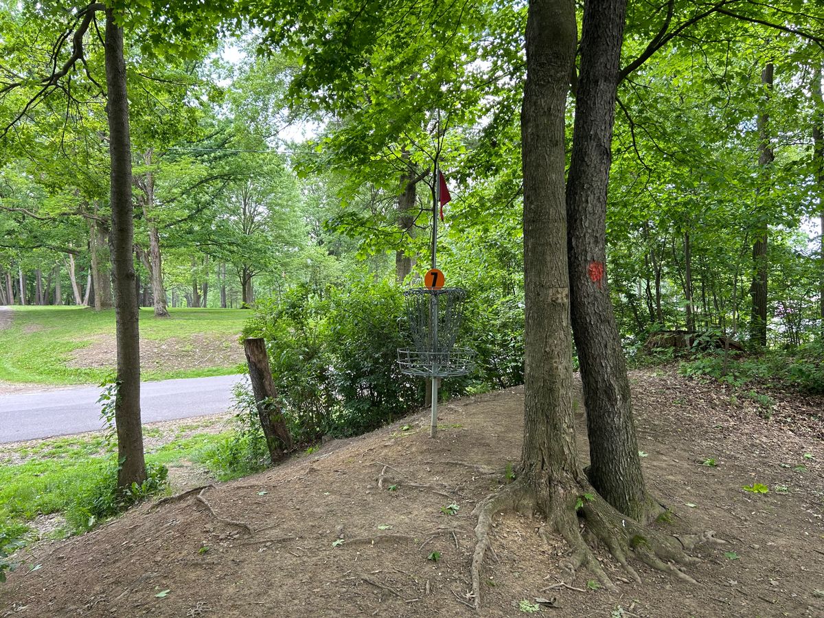 Hole 7 basket