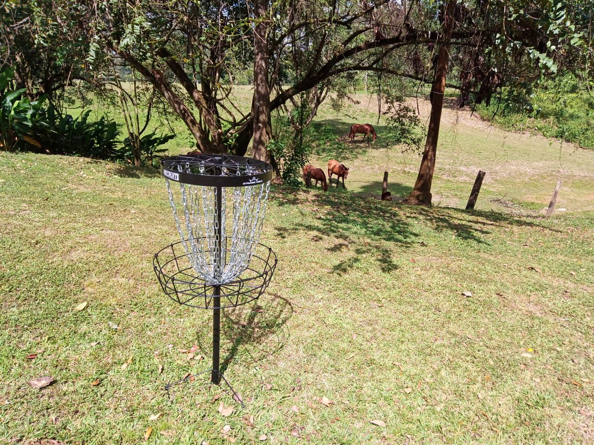 Basket at Hole 1, Horses on hole 2