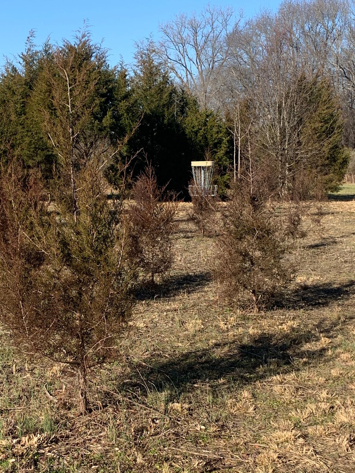 New hole 7 basket