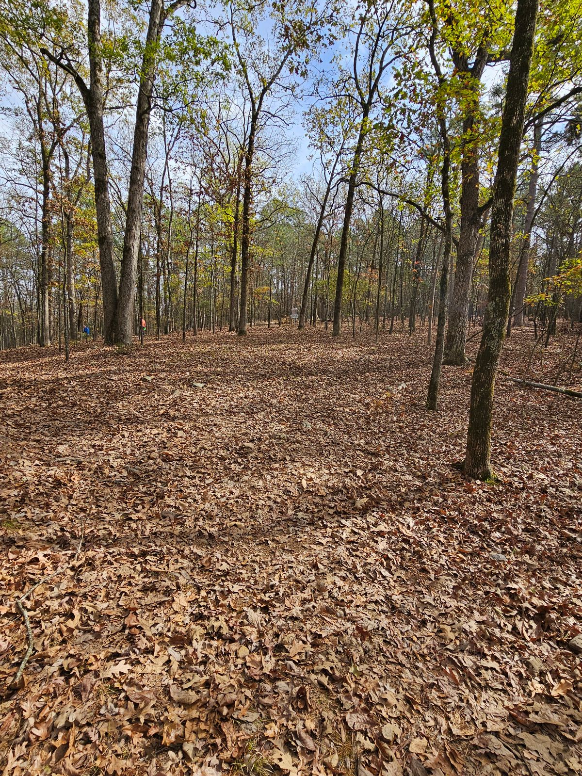 Hole 1