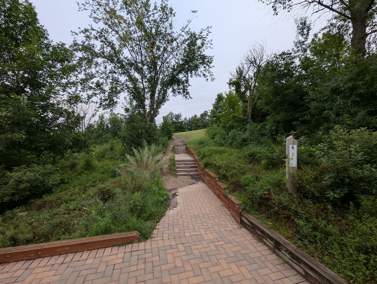 Hole 6 tee