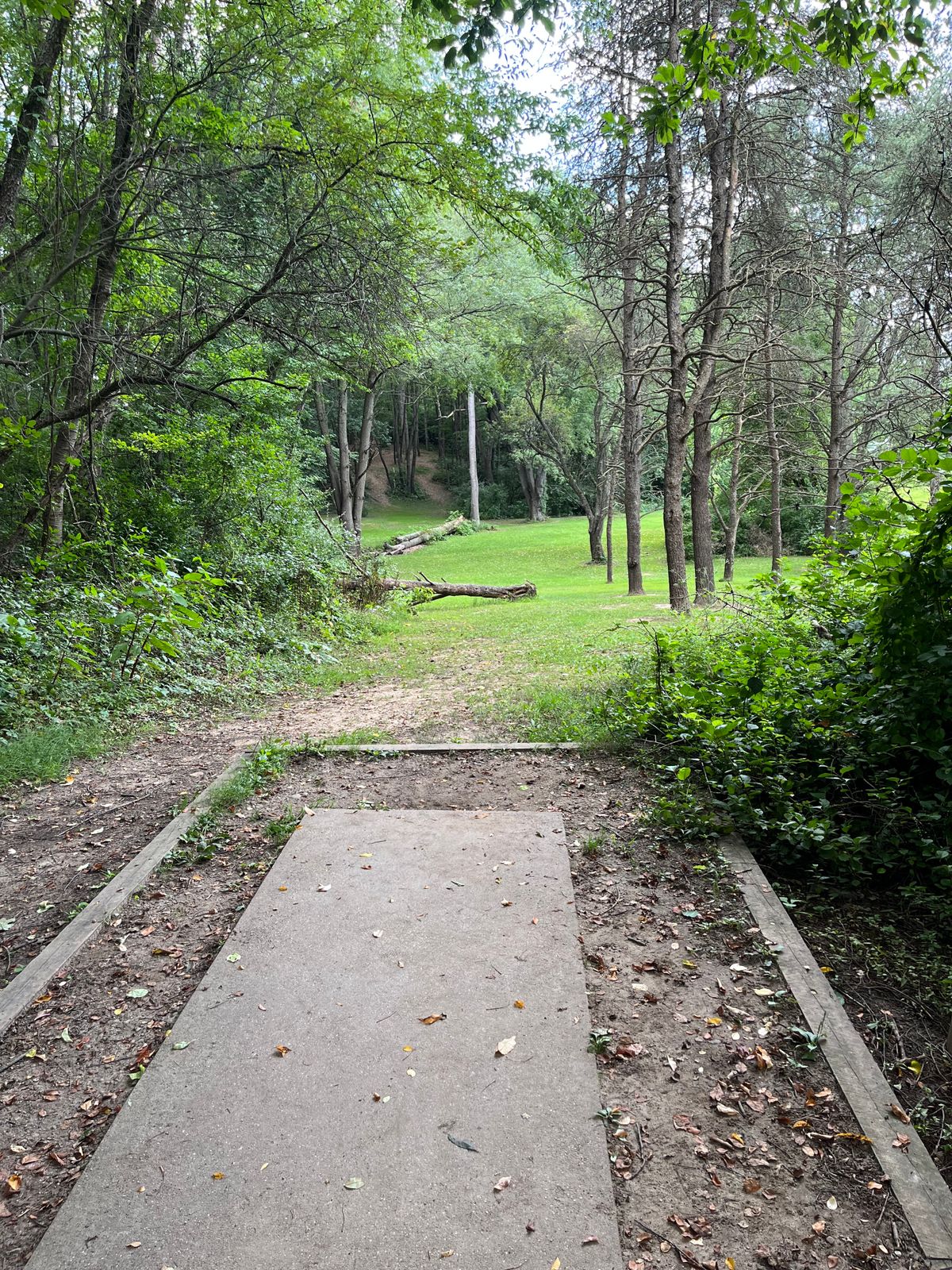 Hole 4