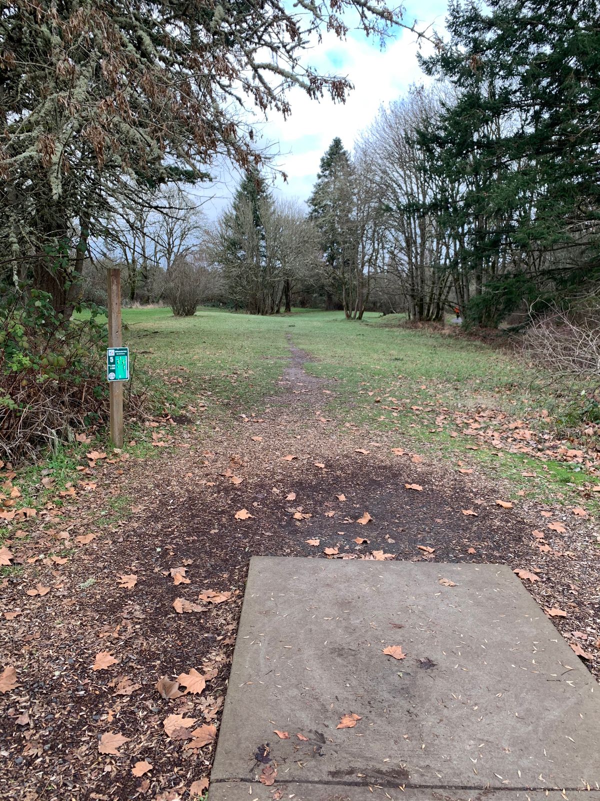Hole 5