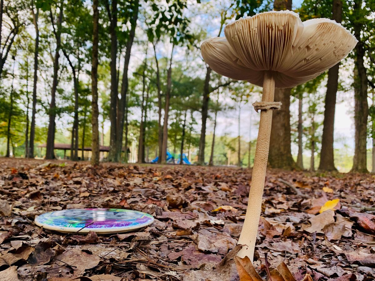 Come out and play. 
I’m a fungi to be around!