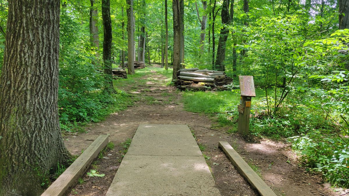 Hole 4 Tee