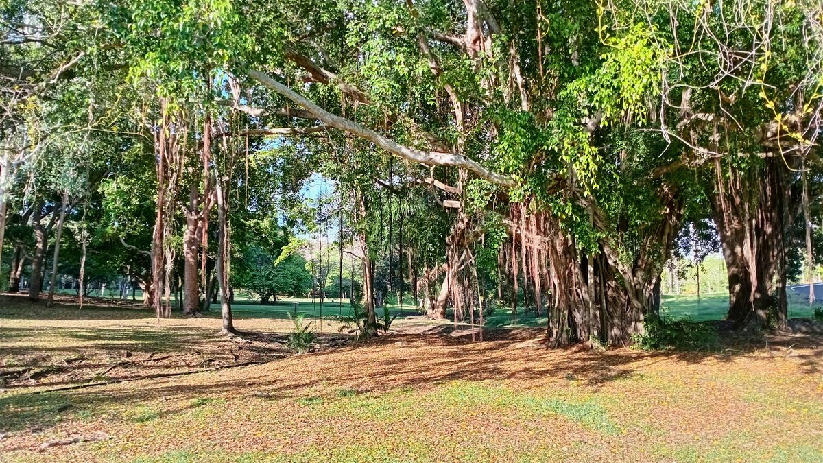 Parque Omar DG Course
Hole 2 Target