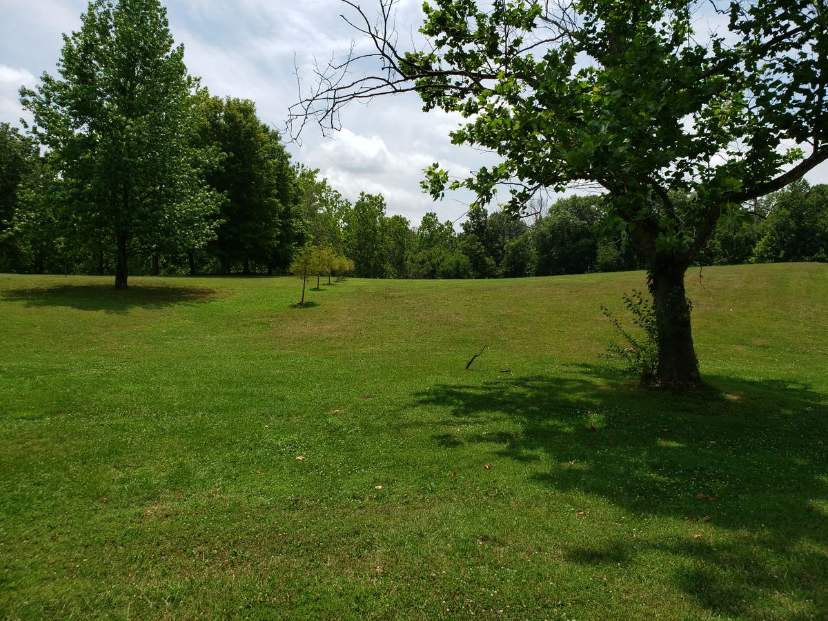 #4 Fairway View slightly left of shot line.