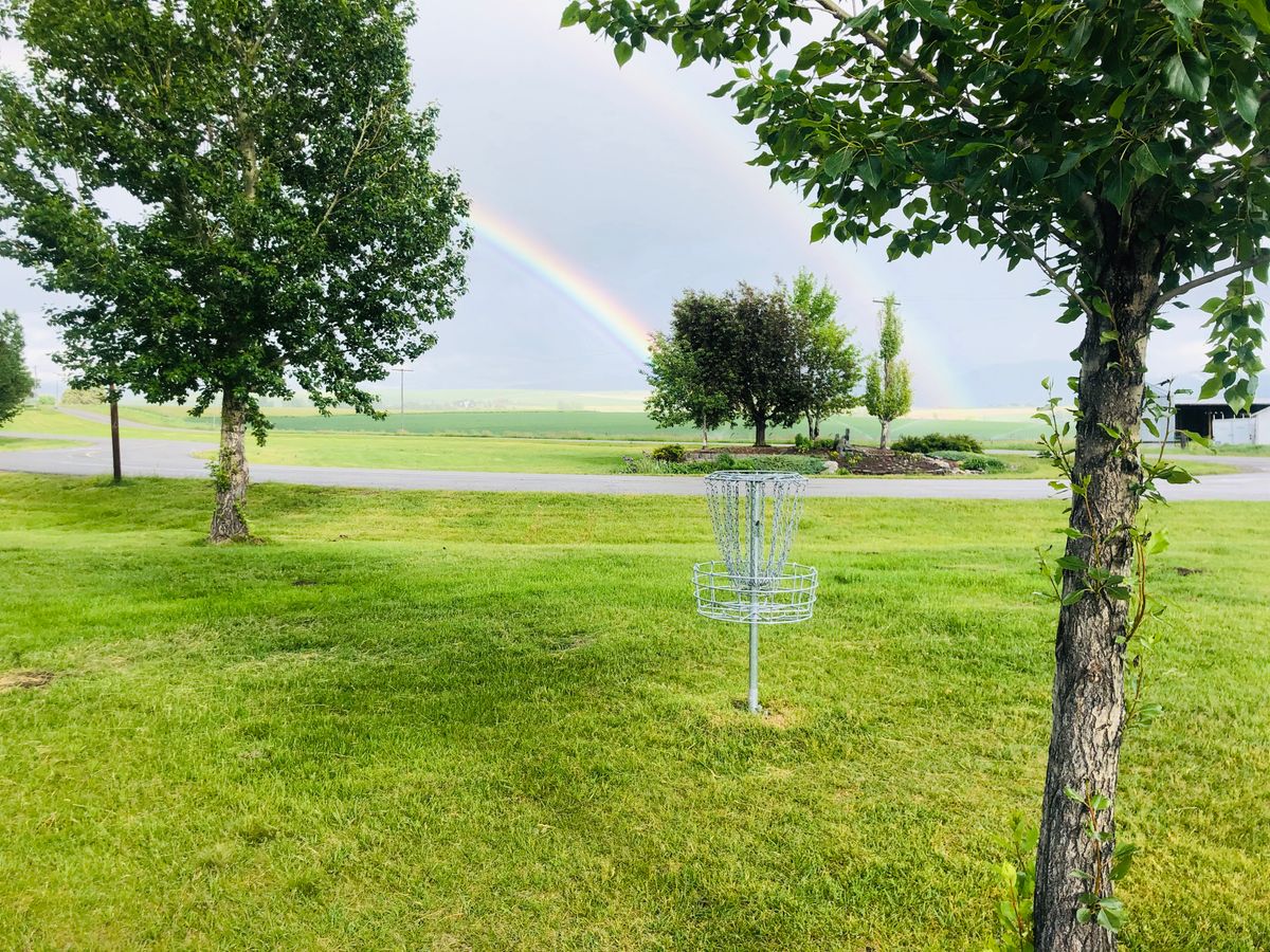 Hole 4 basket with double rainbow