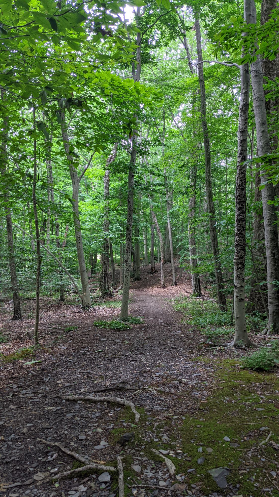 Hole 9