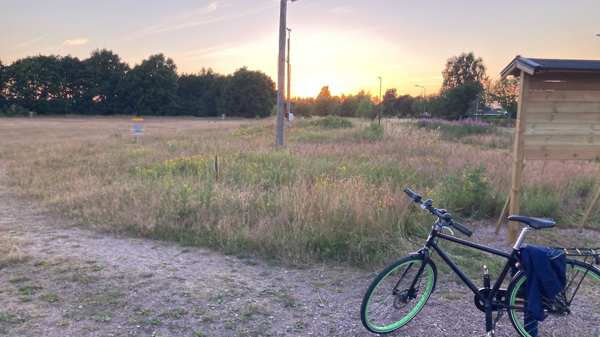 Banan på kvällstid
