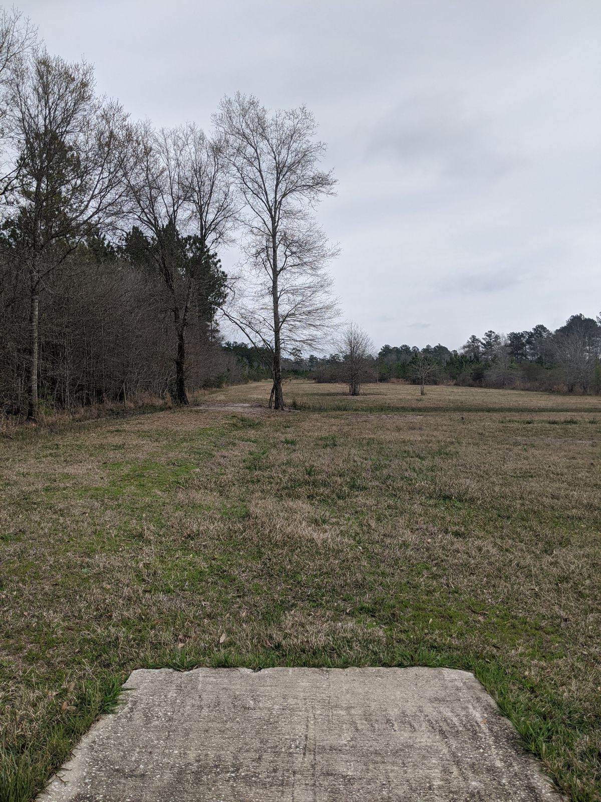 Hole 7 Short Tee