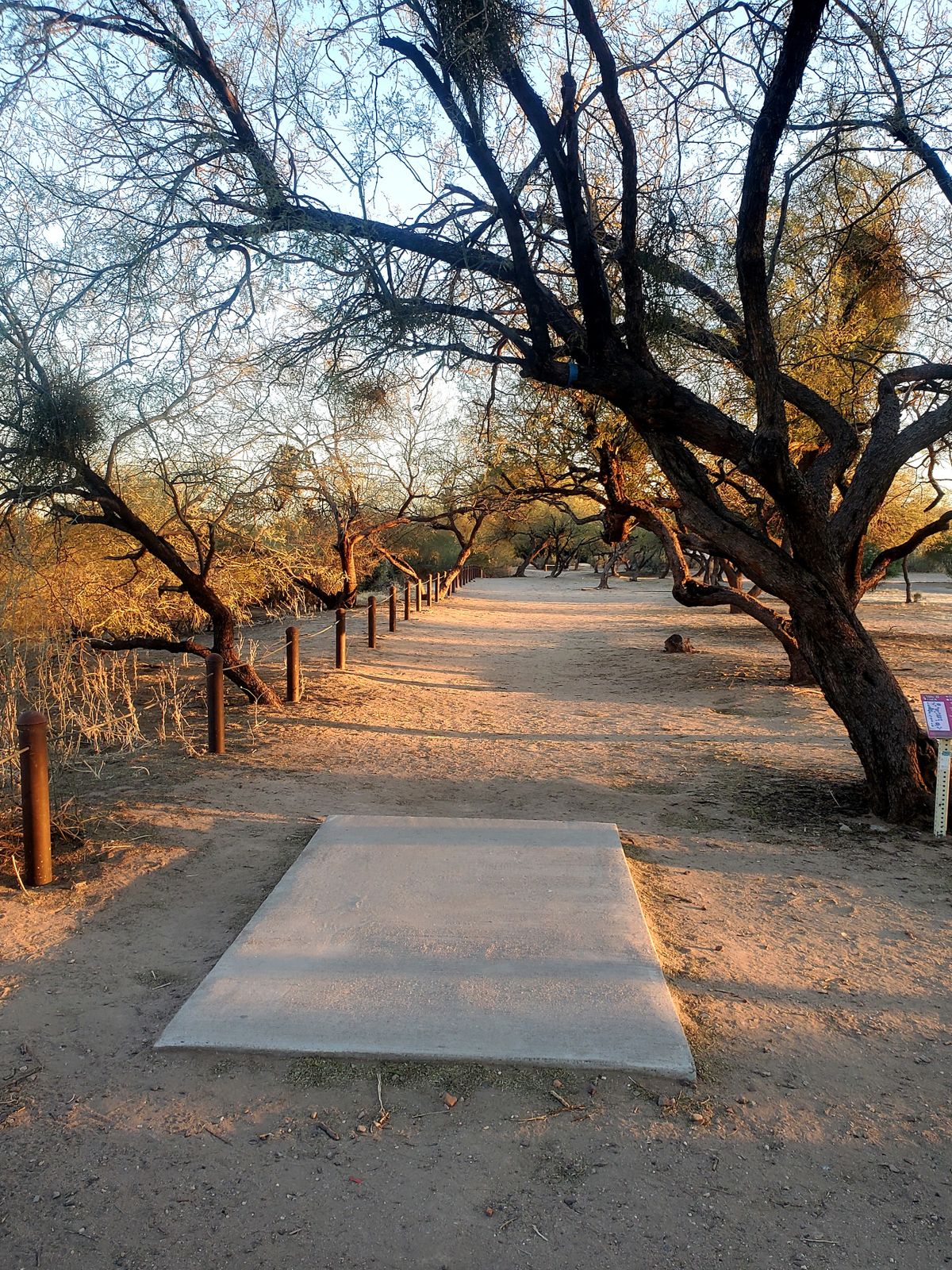 Hole 8 teepad