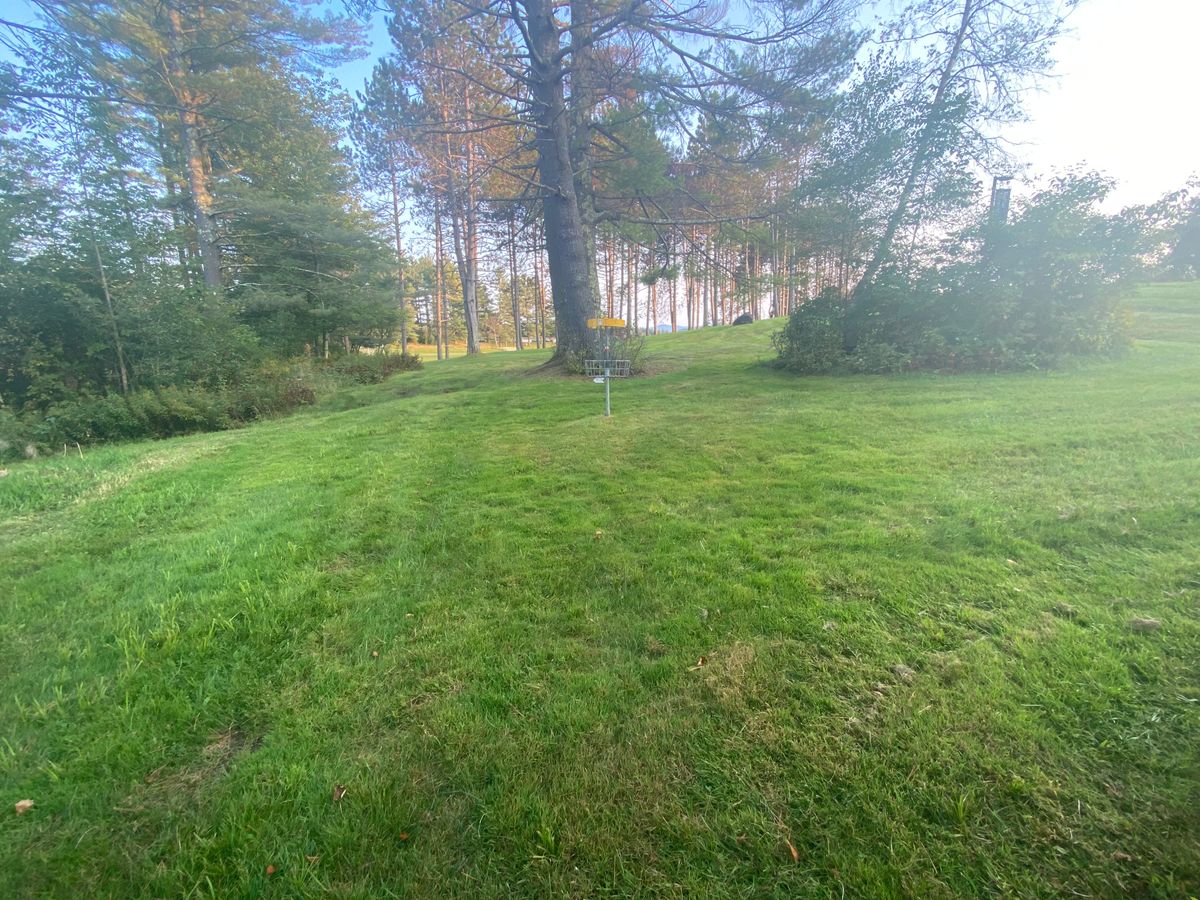 Hole 9 green before trees were cut