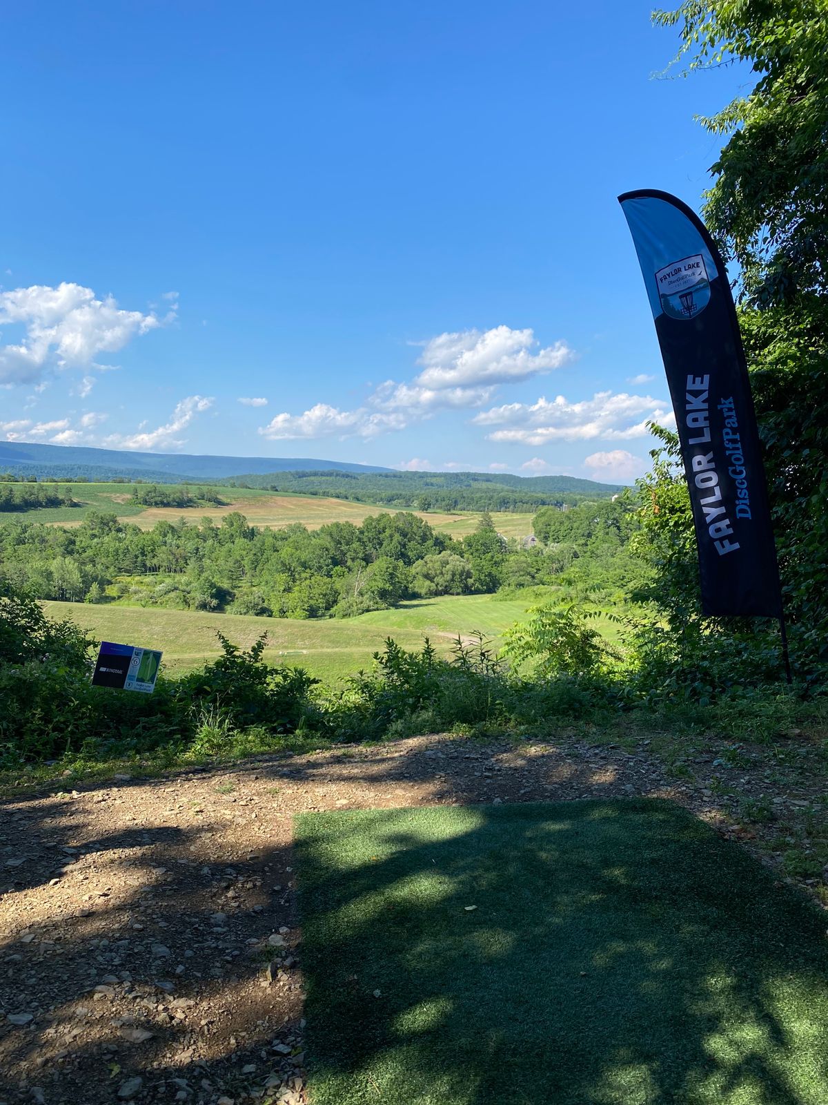 Hole 6 gold tee