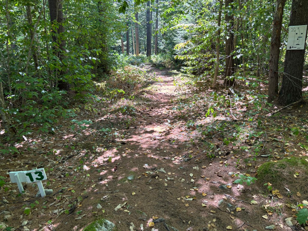This is where conditions fell short. I’m local and willing to get a machete and start swinging lol