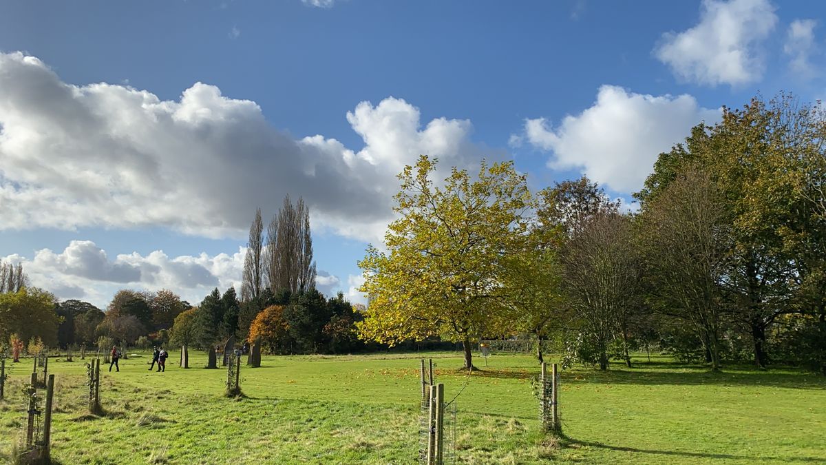 View of the 15th and 14th baskets. 