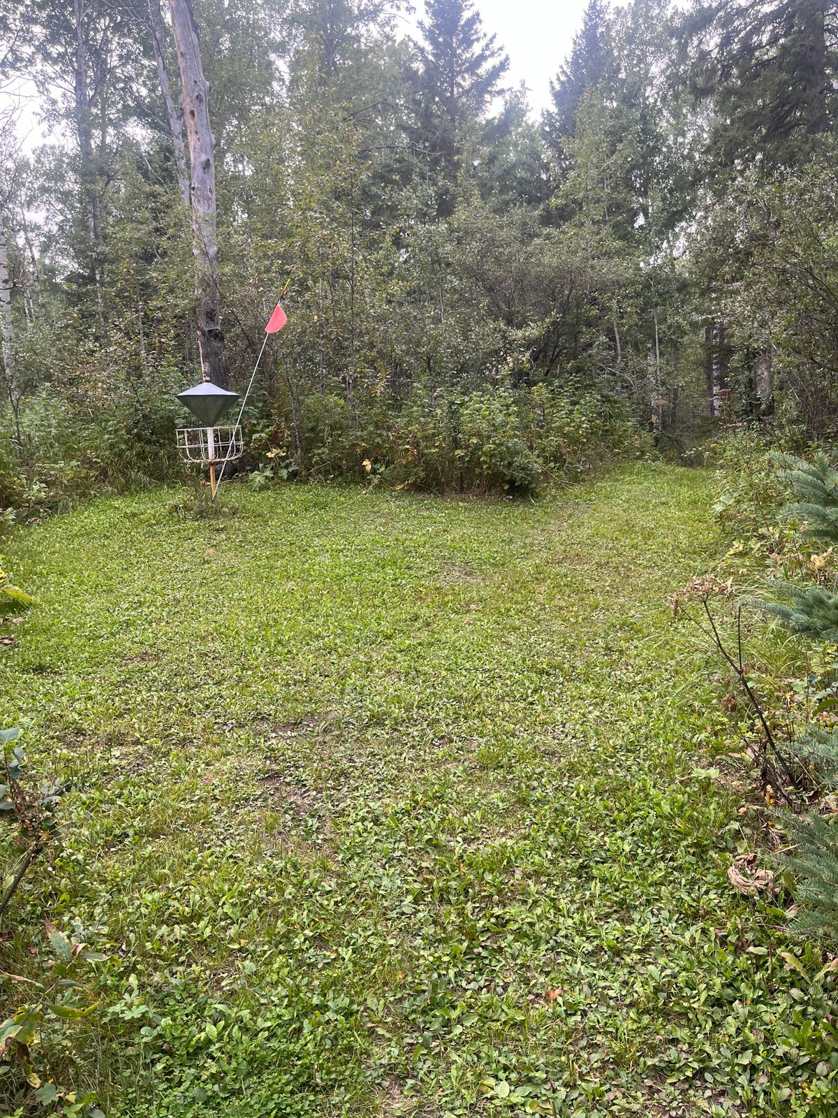 6th Basket (facing backwards)