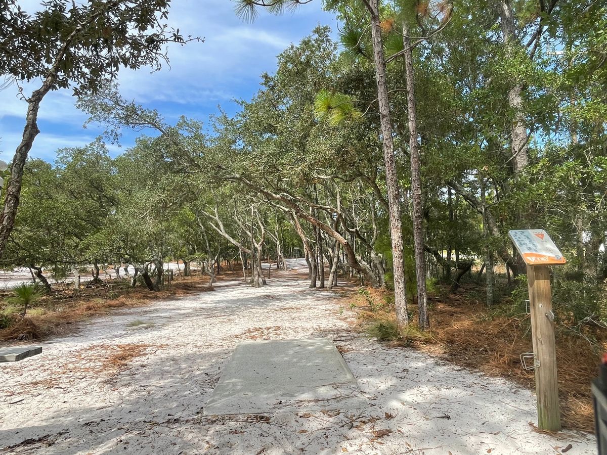 Hole 8