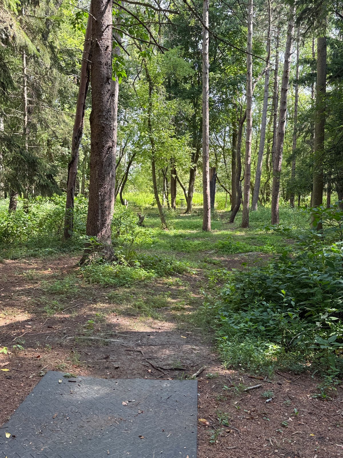 Hole #6 Teepad