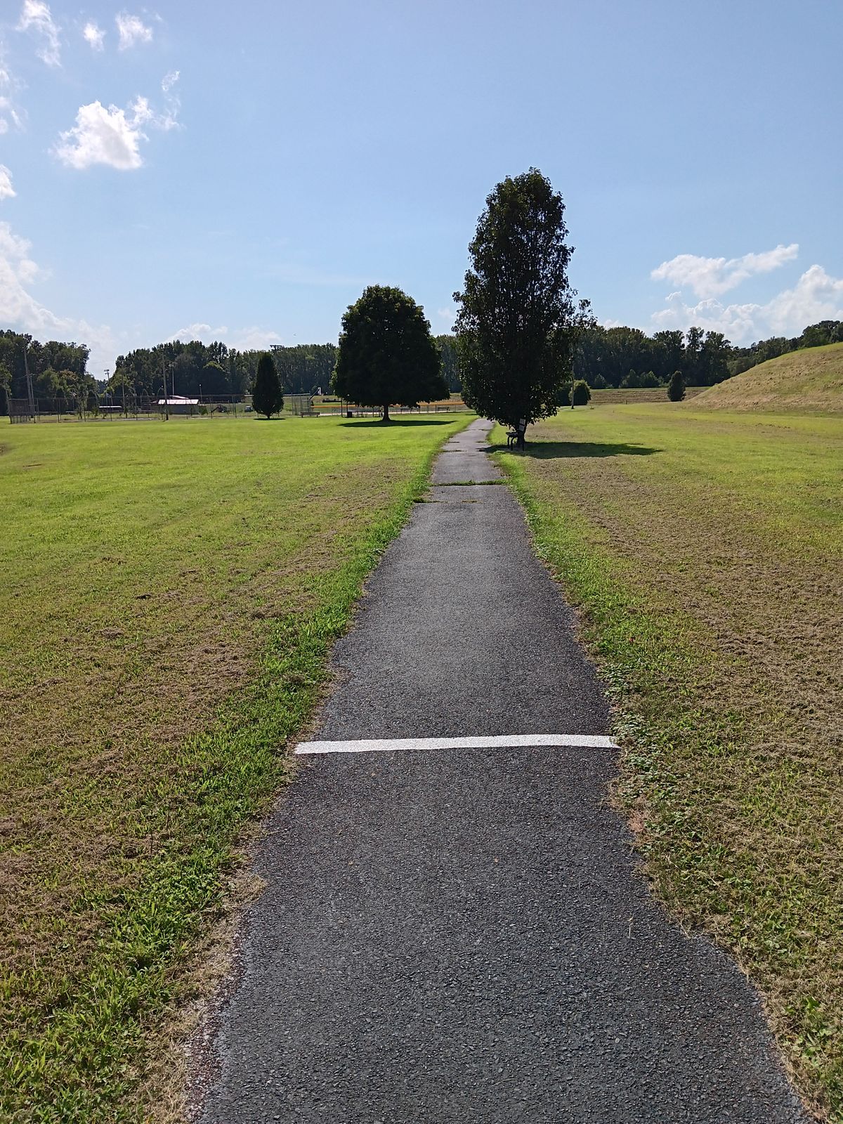 Hole 4 Tee
