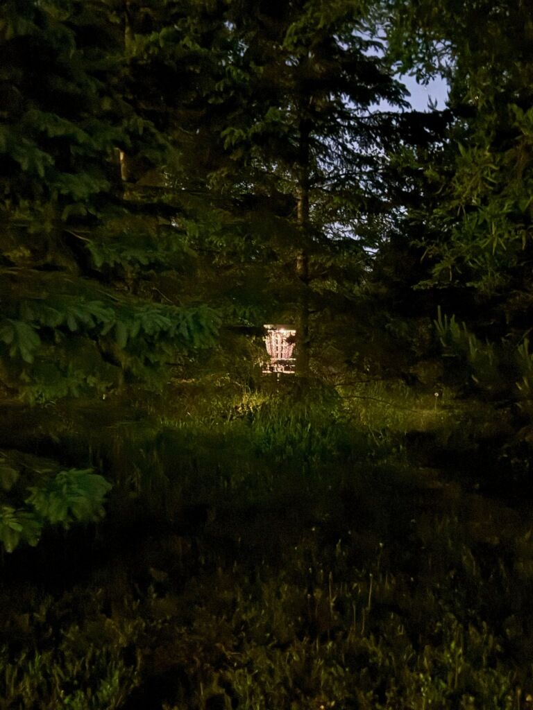 Hole 16 "The Donut" - looking through the trees from the road
