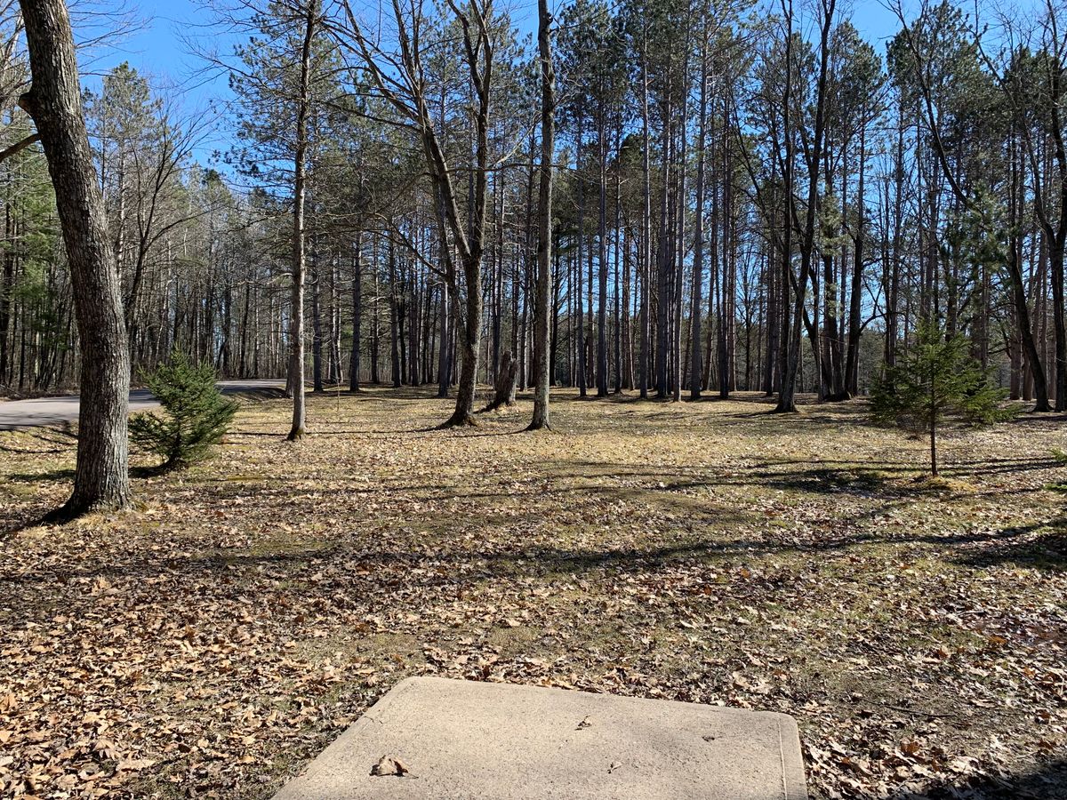 Hole 7 tee (short)