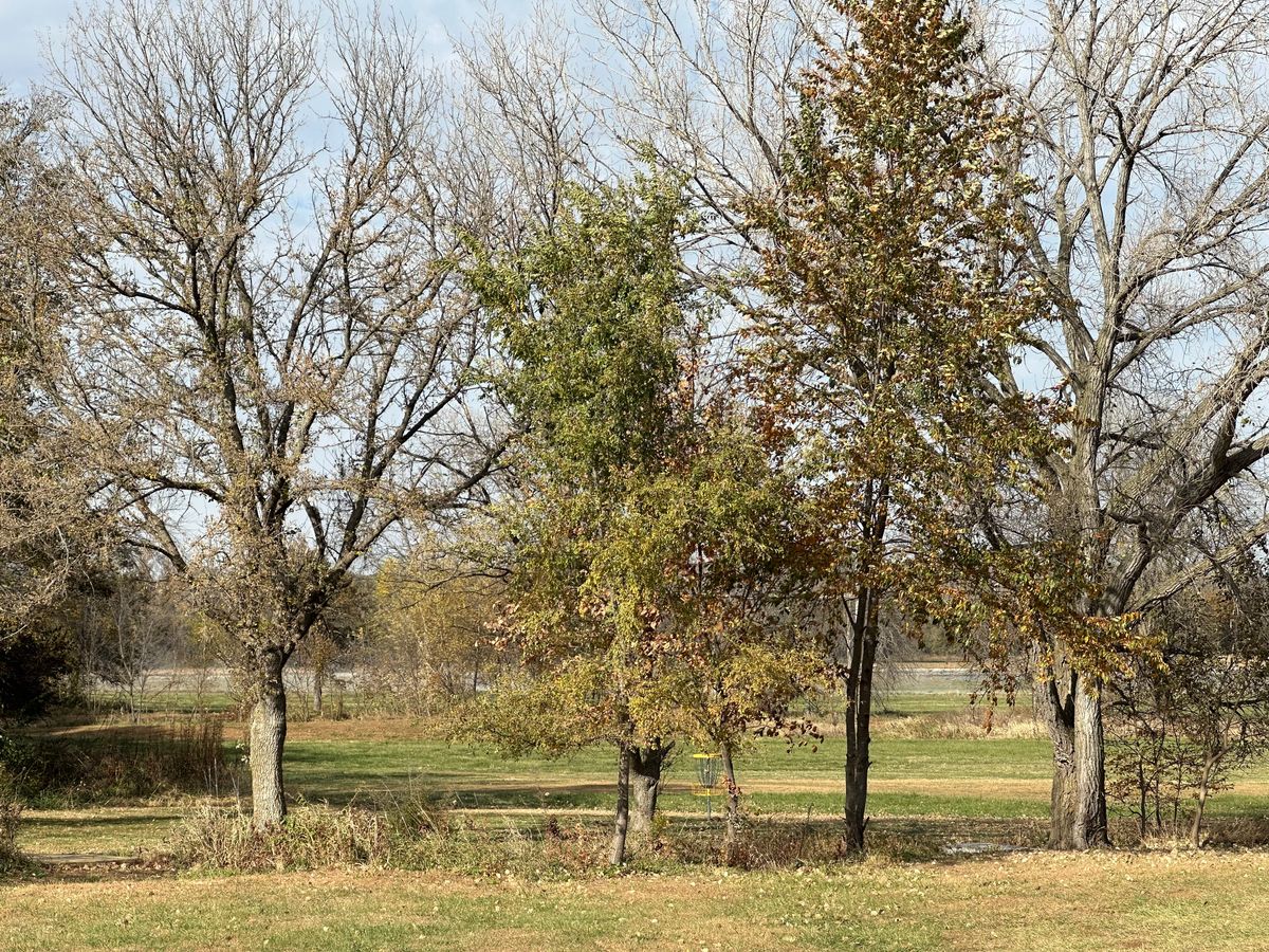 Hole 19 green