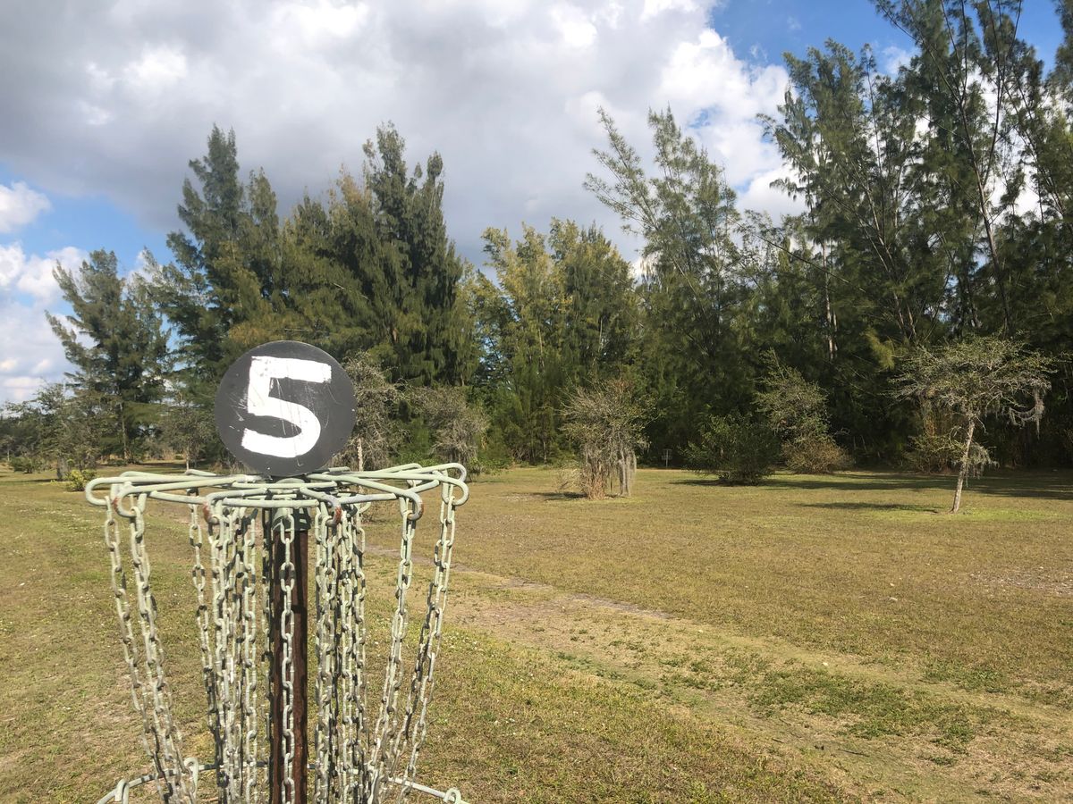 The view from the basket on hole 5! You shoot from a hill in that tree line.