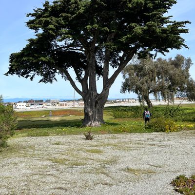 Hole 14’s fairway.