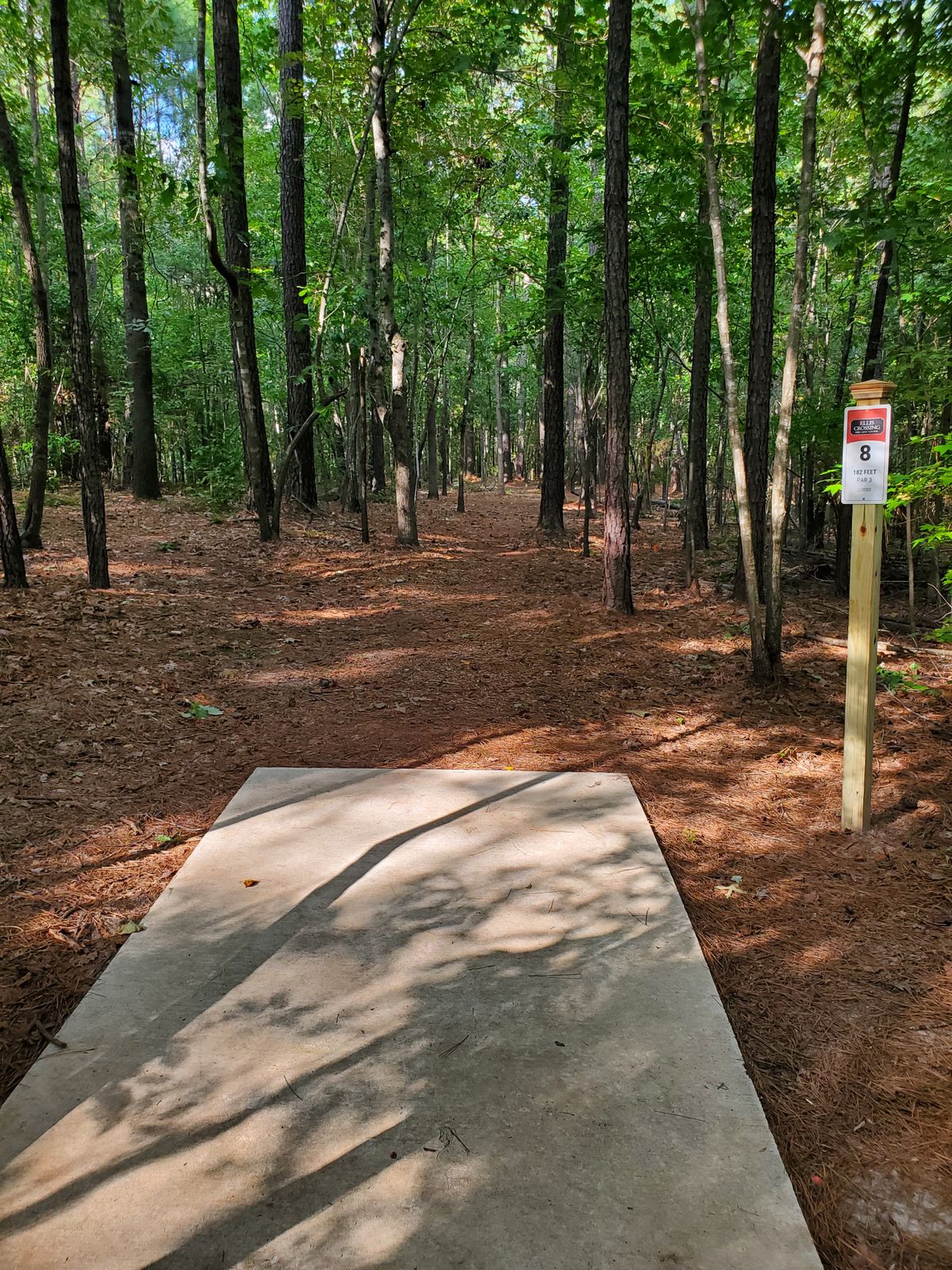 Hole 8 tee