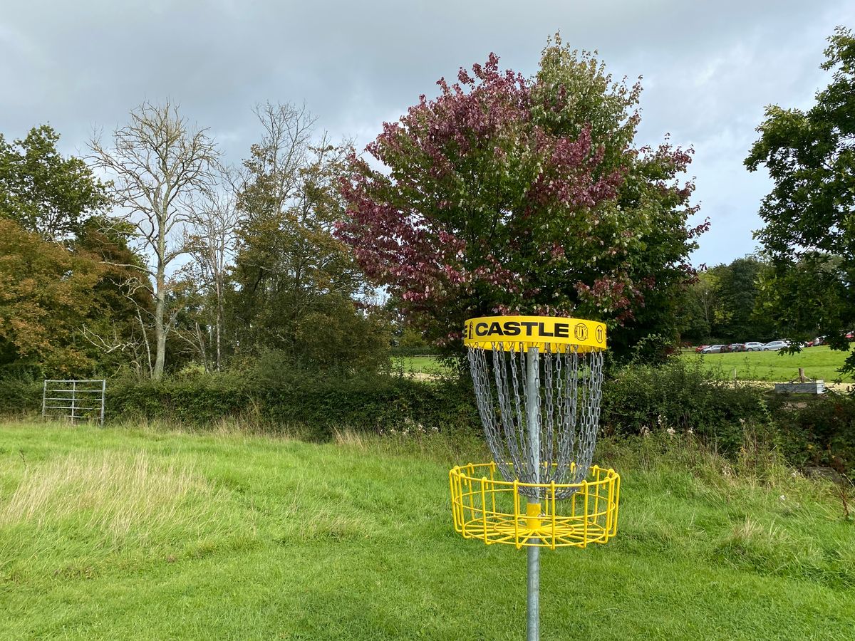 Hole 11 basket
