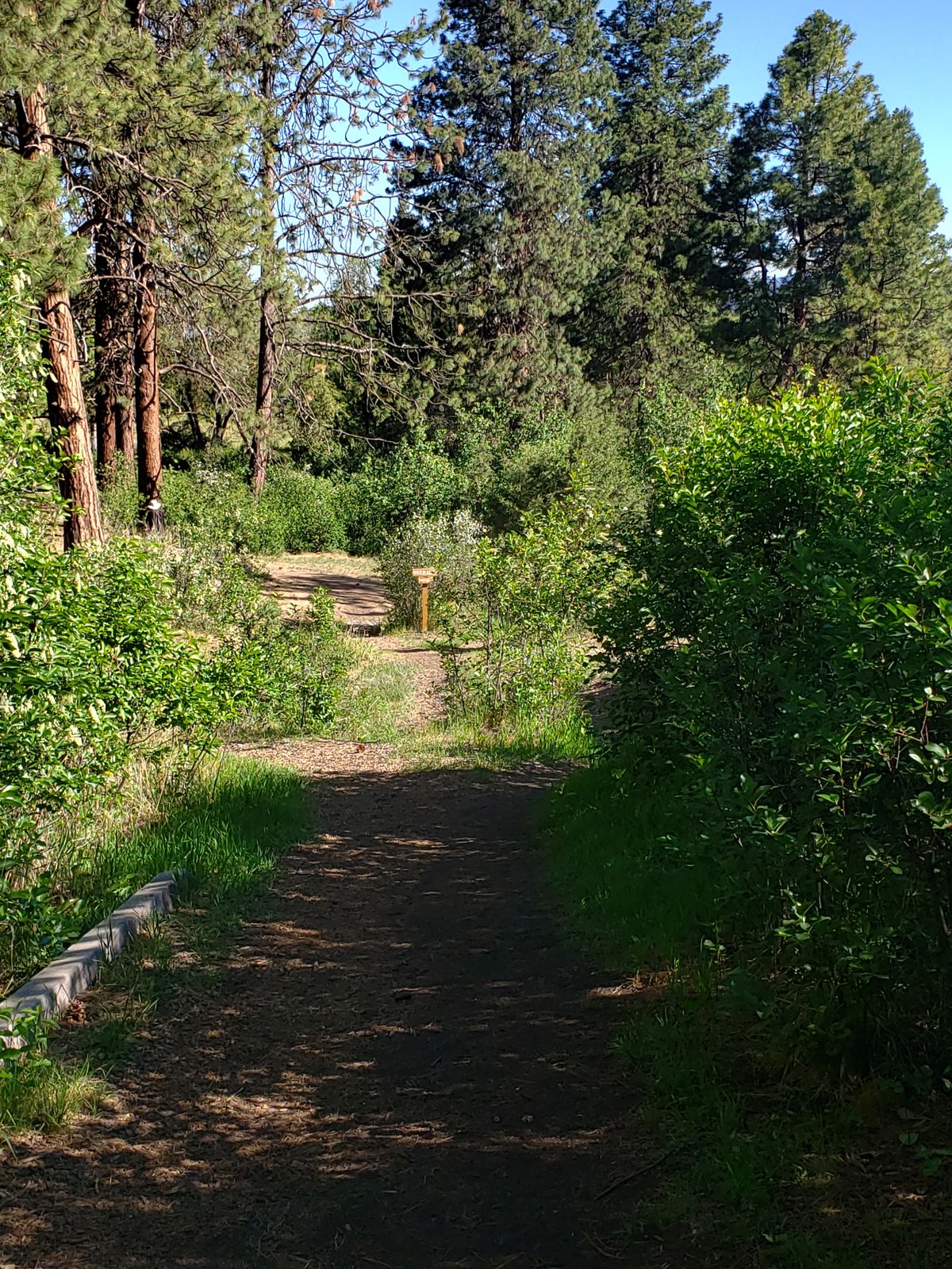 Hole 2