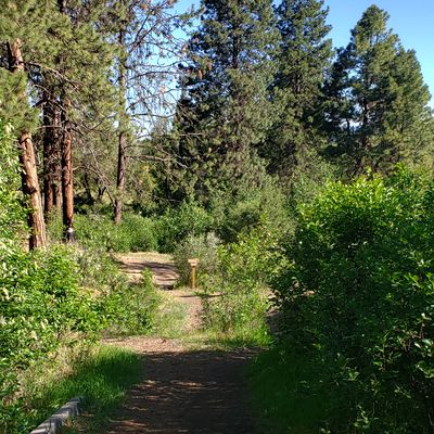 Hole 2