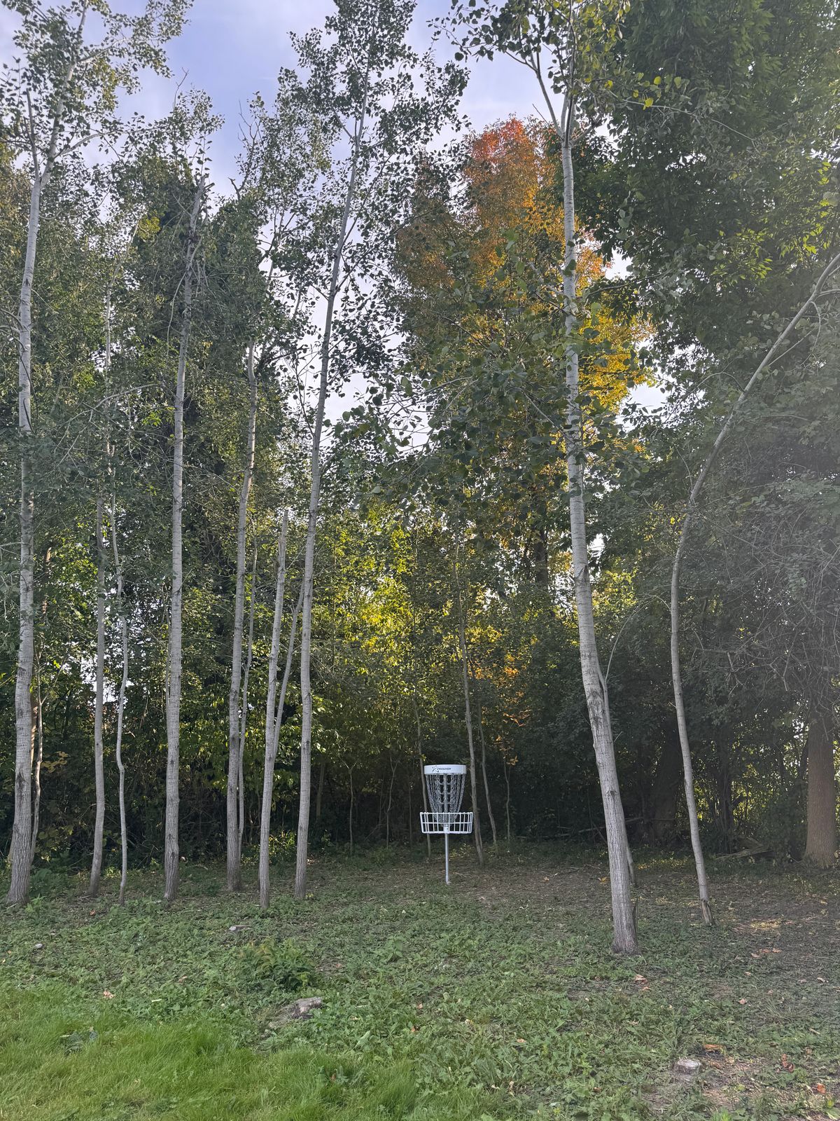 Hole 9 basket