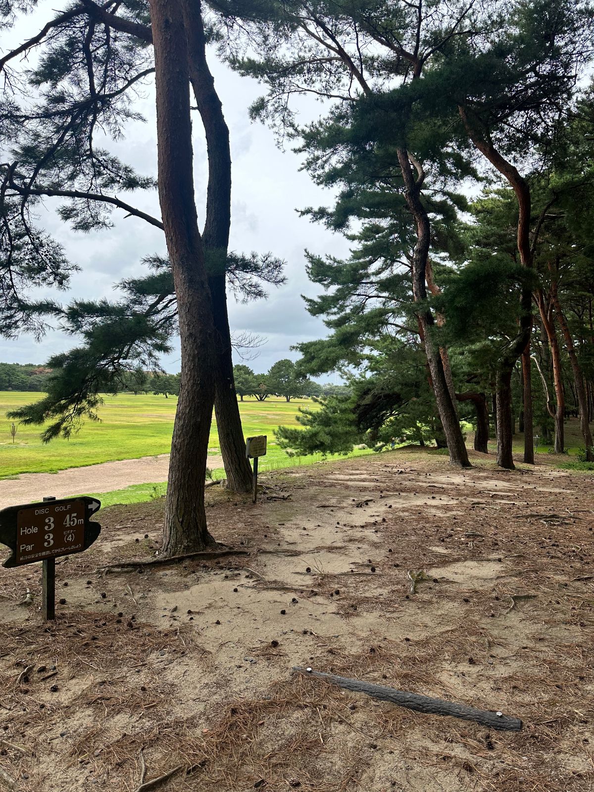Hole 3