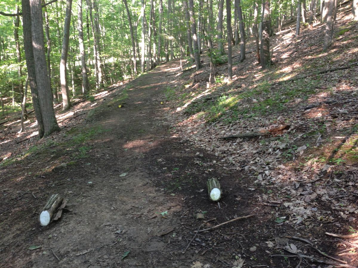 Hole 16